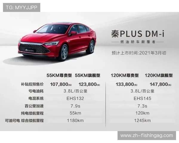 问鼎旗舰厅注册平台如何满足用户多样化需求与期望